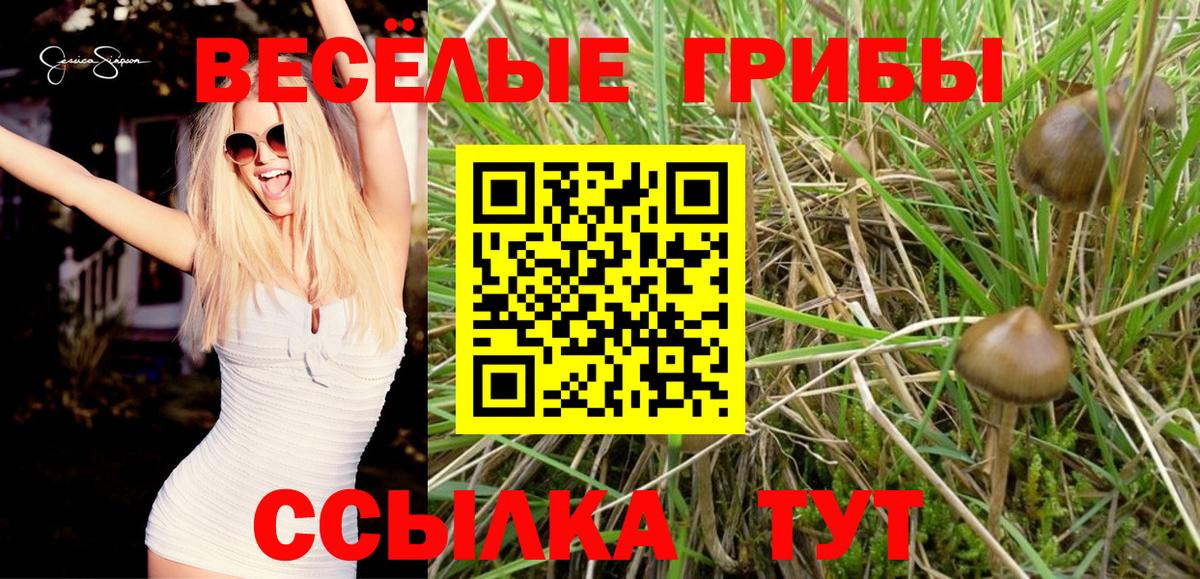 Псилоцибиновые грибы мицелий Кирово-Чепецк