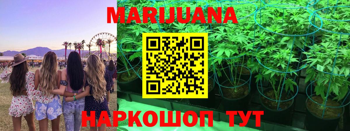 Каннабис гибрид Кирово-Чепецк